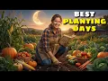 The Amish Moon Planting Calendar That Helps You Choose the Right Days to Plant
