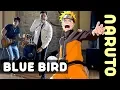 Blue Bird (Naruto Shippuden)・Ricardo Cruz