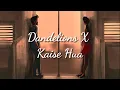 Download Lagu Dandelions X Kaise Hua Song Lyrics