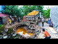 Download Lagu Wonderful Project!! Filling Land Delete Garbage Pond By Bulldozer Pushing Soil And Dump Truck 5T