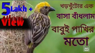 khor kutar ek basha badhlam monir khan ft mousumi mollaharir bou 