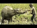 mungkinkah(stinky)-naima feat ryza loise