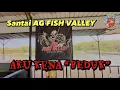Download Lagu SANTAI TERUK KOLAM NI‼️AG Fish Valley