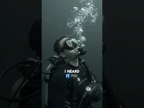 I found something I wasn’t supposed to see #megalodon #ocean #scaryvideo