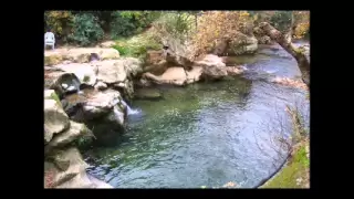 سائليني يا شآم فيروز دندنها