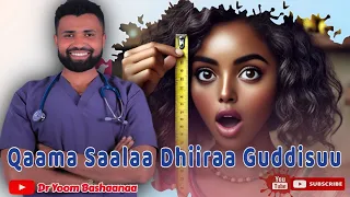 dhuguma qaama saalaa dhiiraa guddisuun ni dandaama xiqqoodha kan jedhamu hamam yoo taeedha