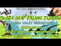 Lagu Suara Inap Paling Diburu | SUARA WALET TERBARU