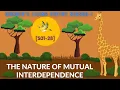 S01-28 THE NATURE OF MUTUAL INTERDEPENDENCE