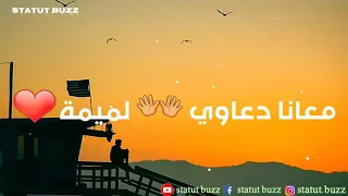 معانا دعاوي الميمة ركبنا نفس البابور  معانا دعاوي الميمة ركبنا نفس البابور