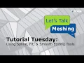 Using Spline Fit Smooth Editing Tools