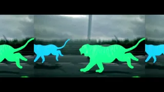 Molotof Sa7la Official Visual مولوتوف سحلة 