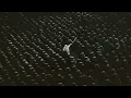 Swedish House Mafia feat. Niki & The Dove - Lioness (Francis Mercier Remix)