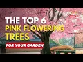 The Top 6 Pink Flowering Trees for Your Garden