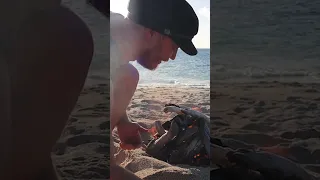 Cooking food on REMOTE SAND ISLAND #shorts