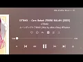 Download Lagu DTRMX - Care Bebek JEGEG BULAN [2022].mp3