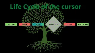 Cursors SQL Server