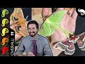Lagu Giant Silk Moth, The Best Pet Insect?
