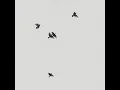 Elevate