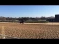 Billy Gowan trainee getting in gear - Oaklawn Anywhere