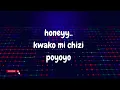 Nani - D voice ft Zuchu lyric video by TunesTz