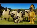 Shaun the Sheep! Complete Full Episodes Compilation | Shaun the Sheep