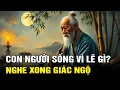 Lagu Con Người Sống Trên Đời Vì Lẽ Gì? Nghe Xong Bạn Sẽ Khai Ngộ