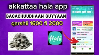 Akkata Hala App Banachuun Guyyaan Qarshii 1600 Fi 2000 Hojatan Isiin Argarsiisa Naa Hordofaa 