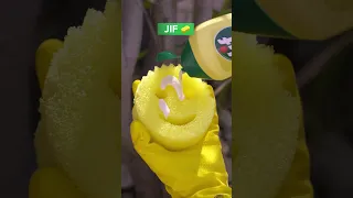 جزمتك متوسخة جرب جف كريم  جزمتك متوسخة جرب جف كريم