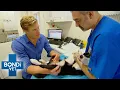 Vet Discovers Rarest Condition In Peeing Puppy Bondi Vet