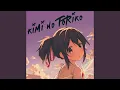 Kimi No Toriko