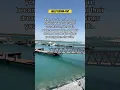 Download Lagu What happens when you love someone? -#listen