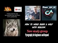 How to wood burn a wolf pyrography portrait with realism Study group pyrography for beginners