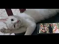 Download Lagu Keanu Reeves Wedding | Kitten Calm