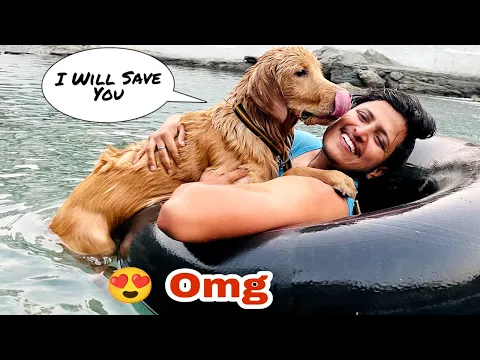 Romeo Ne Megha aur Mujhe Bachaya ? My Dog Saved our Life ?❤️ Proud Moment