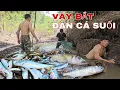 Download Lagu ĐI LẤY QUẢ NHO RỪNG, TÌM DƯỢC LIỆU \u0026 VÂY BẮT ĐÀN CÁ SUỐI VỪA MỆT VỪA VUI !