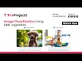 Image Classification Using CNN Convolution Neural Networks Algorithm