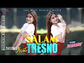 Download Lagu SHINTA ARSINTA ft DJ SANTUY | SALAM TRESNO [Tresno ra bakal ilyang] The Best Wahana Musik