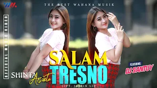 shinta arsinta ft dj santuy salam tresno tresno ra bakal ilyang the best wahana musik