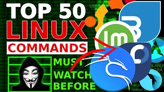 Daily Use Linux Commands From Beginner to Pro