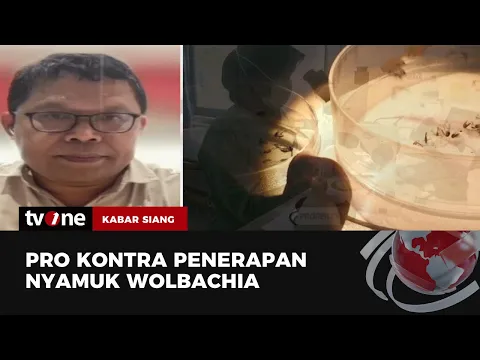 Nyamuk Wolbachia Datang, DBD Hilang?