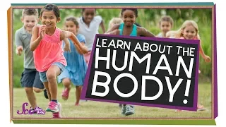 All About Your Body Human Body Compilation