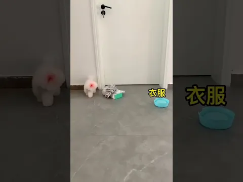 What’s going on? Got kicked out again? #pets #cute