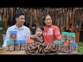 Lagu Traditional Red Fermented Meat Recipe | Natural Preservation Without Chemicals | Ly Phuc An