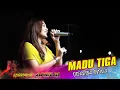 Download Lagu MADU TIGA DIFARINA INDRA - AMELIA MUSIC | NUGROHO AUDIO