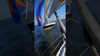 #shorts #sailing #texas #racing #water #wind #fun