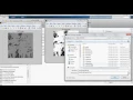 Content-Based Image Retrieval Using Features Extracted From Halftoning-Based Block Truncation Coding