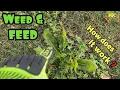 How to apply WEED and FEED to a lawn infested with weeds How does weed and feed work