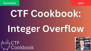 Integer Overflow - CTF Cookbook