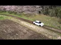 JUJU Sakura Rain
