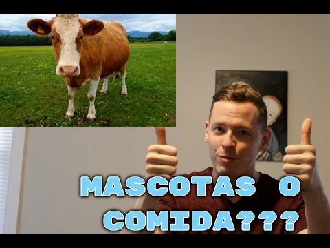 A1: lección de listening — Animales! Aprender Vocabulario Nuevo Sin Estudiar! | Pensando Inglés